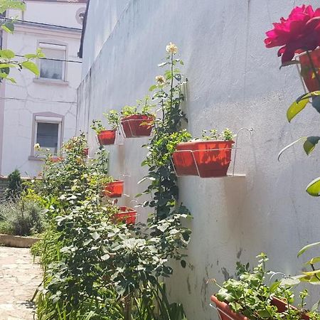 Garden Apartments Belgrado Exterior foto